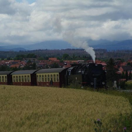 Ferienwohnung Schuur - Harz Хассельфельде Экстерьер фото