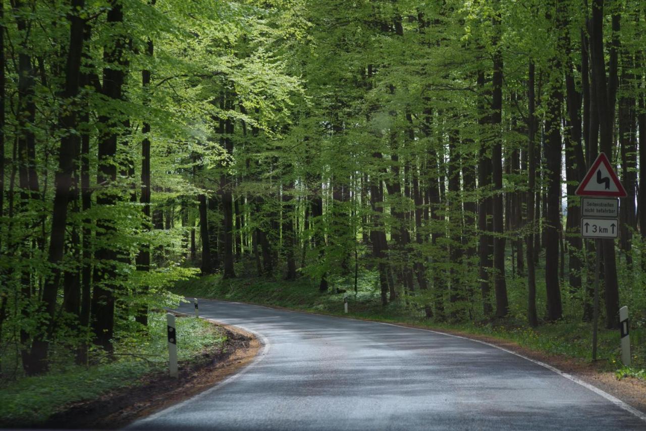Ferienwohnung Schuur - Harz Хассельфельде Экстерьер фото