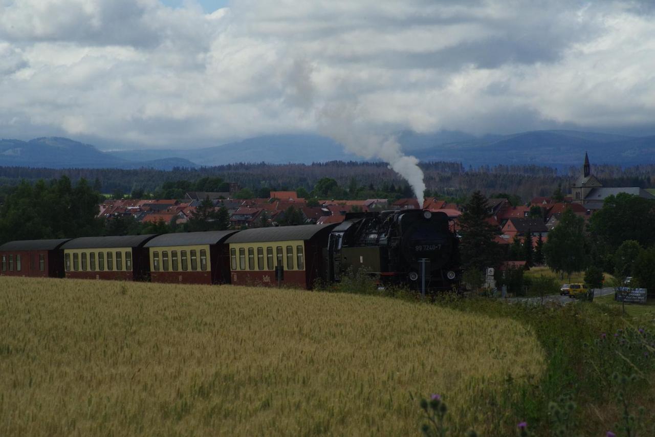 Ferienwohnung Schuur - Harz Хассельфельде Экстерьер фото